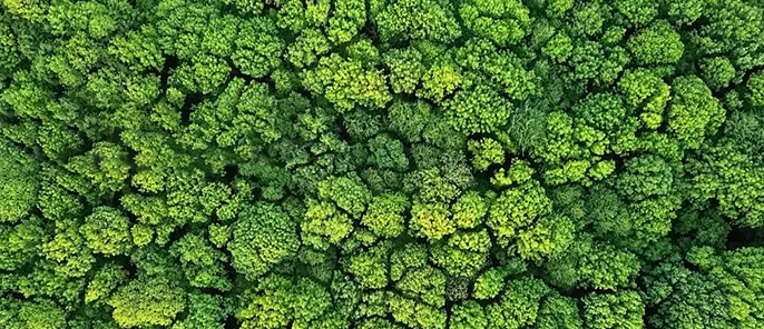 Environmentally friendly factory