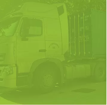 Strong Supply Chain Capabilities